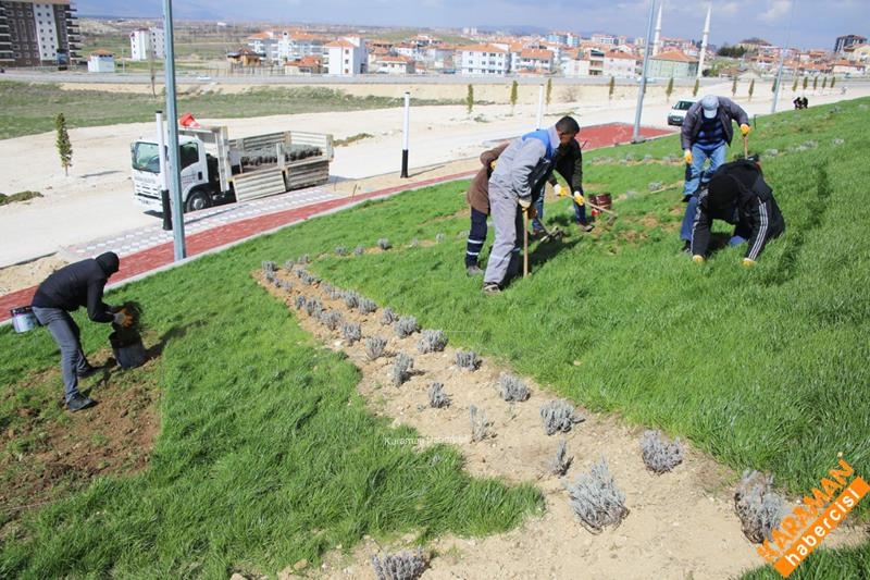 Şehrin Dört Yanında Peyzaj Düzenlemeleri Devam Ediyor 10