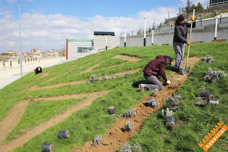 Şehrin Dört Yanında Peyzaj Düzenlemeleri Devam Ediyor 12