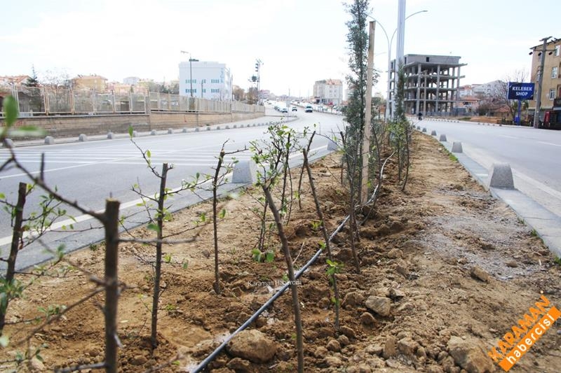 Şehrin Dört Yanında Peyzaj Düzenlemeleri Devam Ediyor 6