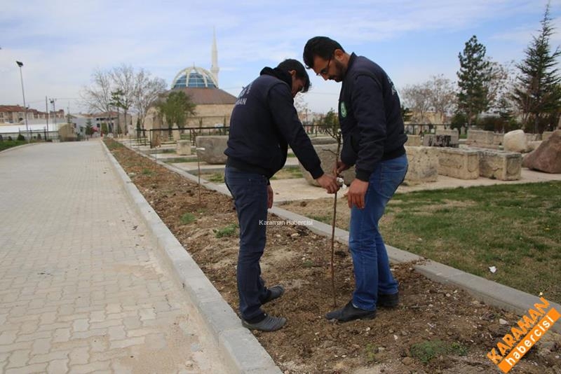 Mezarlıklarda Çevre Düzenlemesi Devam Ediyor 2