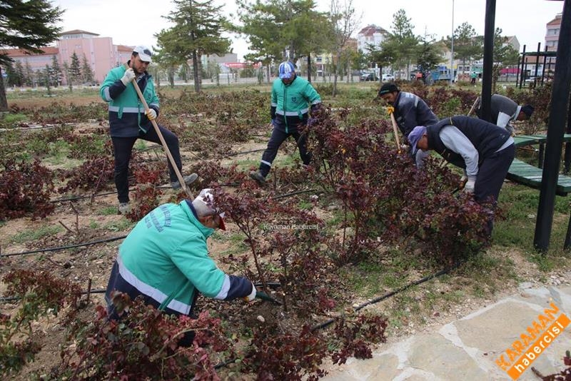 Mezarlıklarda Çevre Düzenlemesi Devam Ediyor 3