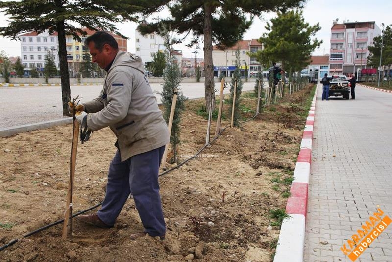 Mezarlıklarda Çevre Düzenlemesi Devam Ediyor 8