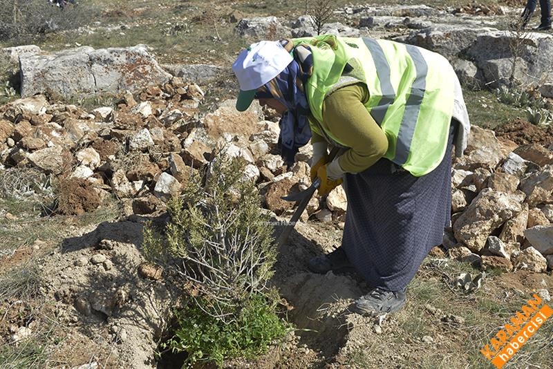 KMÜ'de 3 Bin Fidan Toprakla Buluştu 20