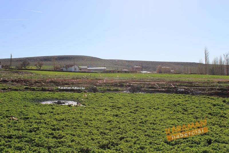 Karaman Ayrancı Kavaközü Köyü Su Problemi 13