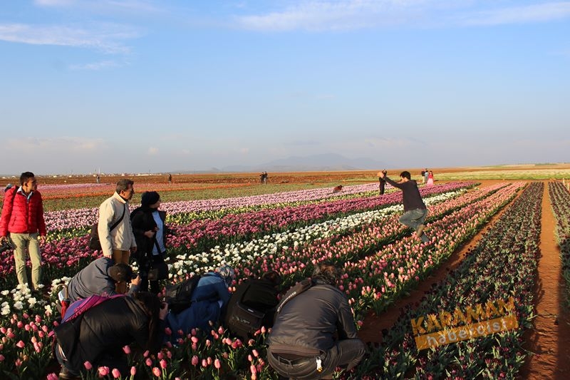 Karaman’da Lalelerin Rengarenk Dünyası 12