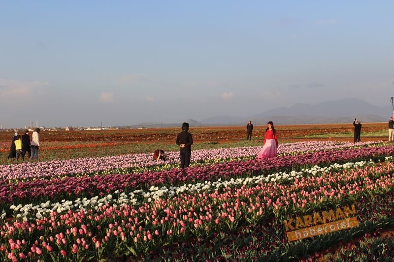 Karaman’da Lalelerin Rengarenk Dünyası 14