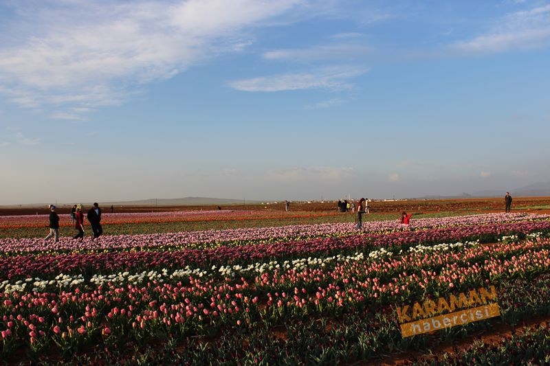 Karaman’da Lalelerin Rengarenk Dünyası 16