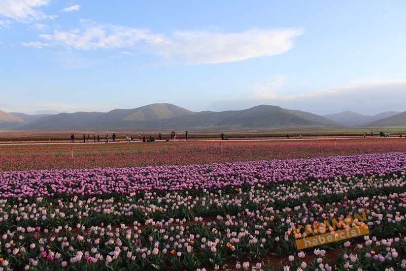 Karaman’da Lalelerin Rengarenk Dünyası 20