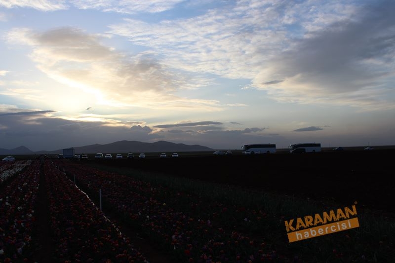 Karaman’da Lalelerin Rengarenk Dünyası 23