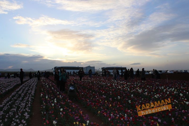 Karaman’da Lalelerin Rengarenk Dünyası 24