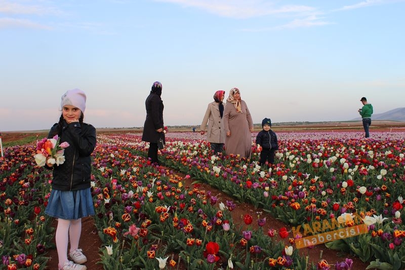 Karaman’da Lalelerin Rengarenk Dünyası 31