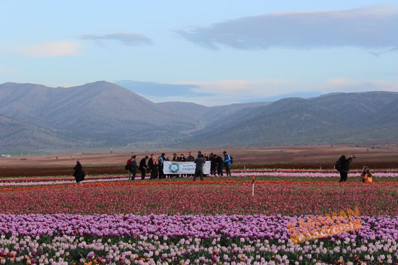 Karaman’da Lalelerin Rengarenk Dünyası 32