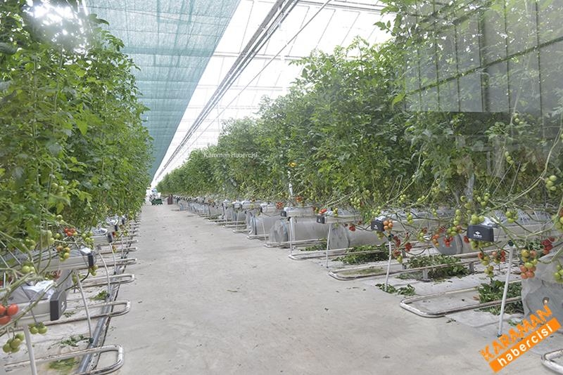 Rektör Akgül ve Yönetim Kurulu Konya'da İncelemelerde Bulundu 20