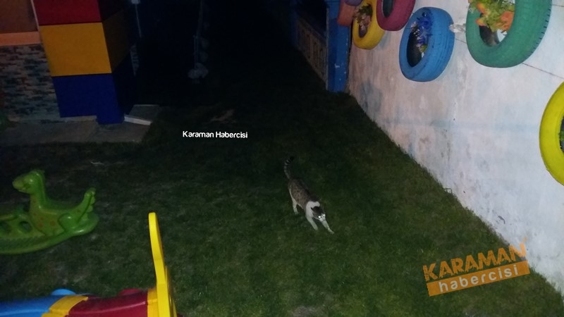 Karaman’da Ev Yangını 31