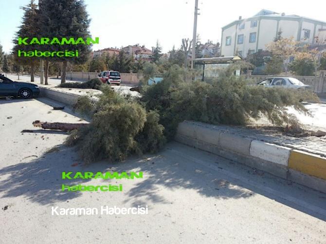 Karaman'da Kontrolden Çıkan Araç Ağaca Çarparak Durdu 7