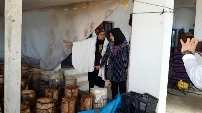 Kazım Karabekir Avrupa'da Tanıtılıyor 6