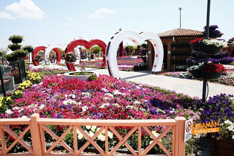 Renklerin Buluştuğu Selçuklu Çiçek Bahçesi Ziyaretçilerin İlgi Odağı Old 1