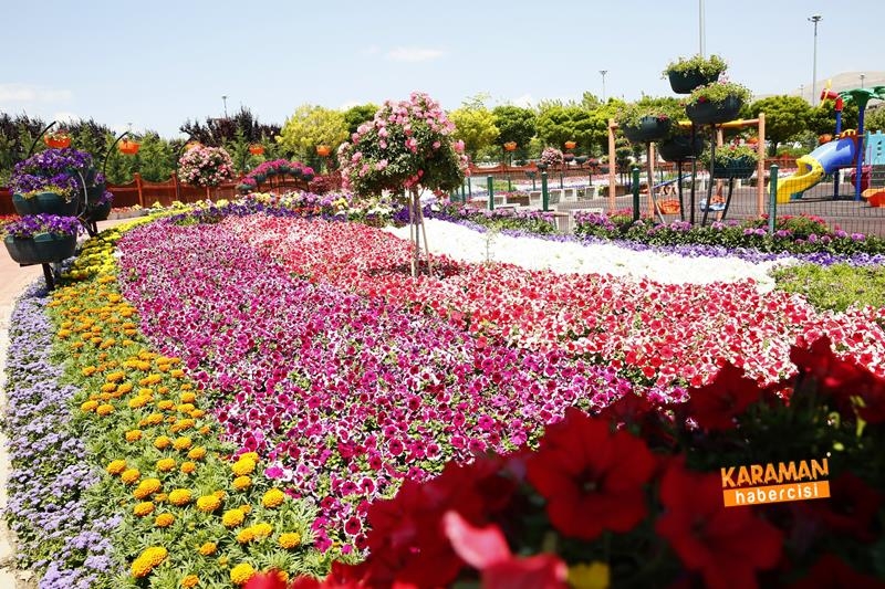 Renklerin Buluştuğu Selçuklu Çiçek Bahçesi Ziyaretçilerin İlgi Odağı Old 6