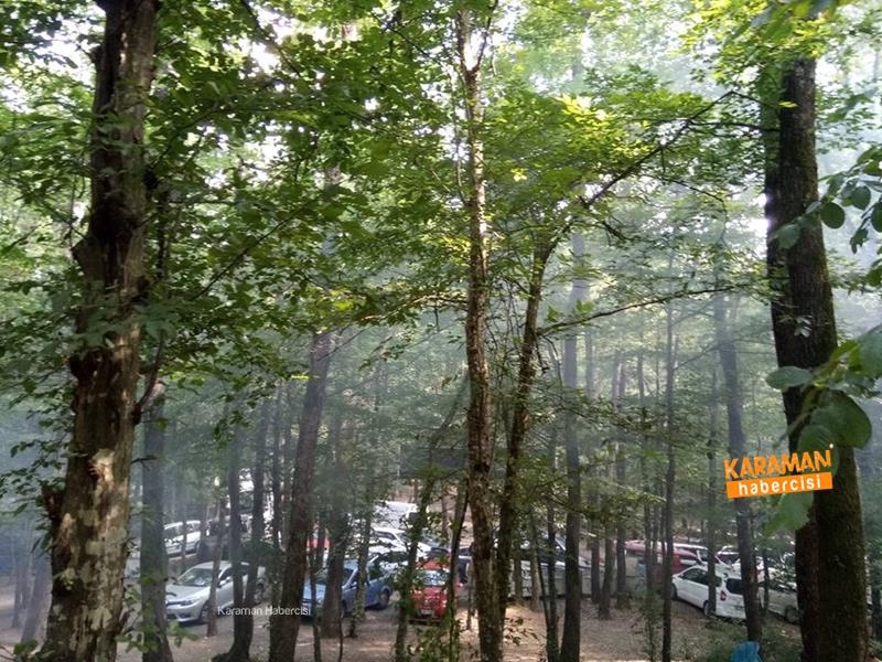 Karaman Dernekler Fedarasyonu Piknik Şöleni 15