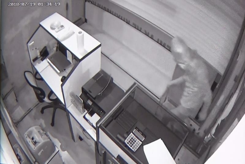 Emlak Ve Kuyumculuk Dükkanındaki Hırsızlık Güvenlik Kamerasında 2