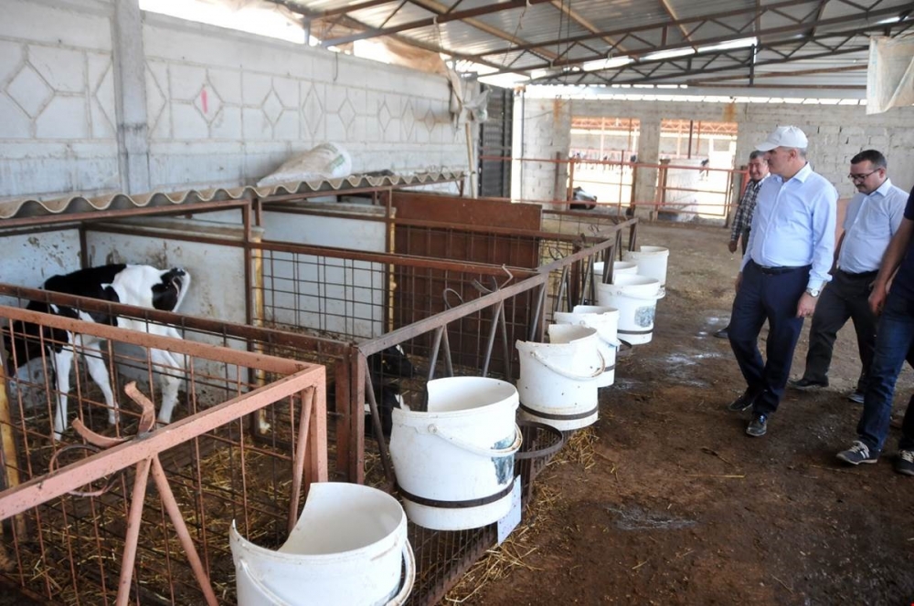 Vali Meral Kaşoba Ve Demiryurt Köylerini Ziyaret Etti 10