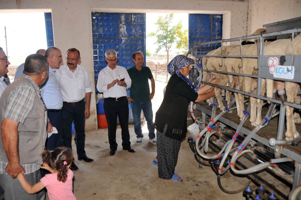 Vali Meral Kaşoba Ve Demiryurt Köylerini Ziyaret Etti 3