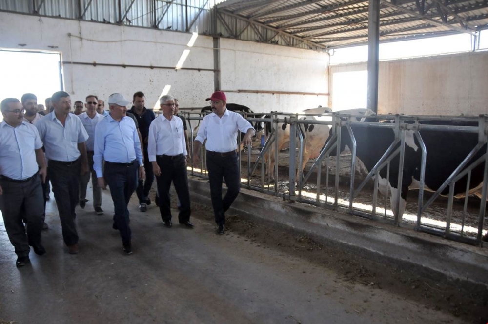 Vali Meral Kaşoba Ve Demiryurt Köylerini Ziyaret Etti 6