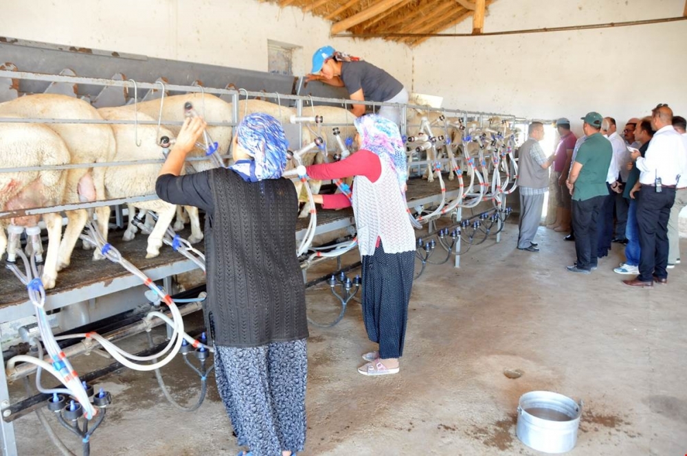 Vali Meral Kaşoba Ve Demiryurt Köylerini Ziyaret Etti 9