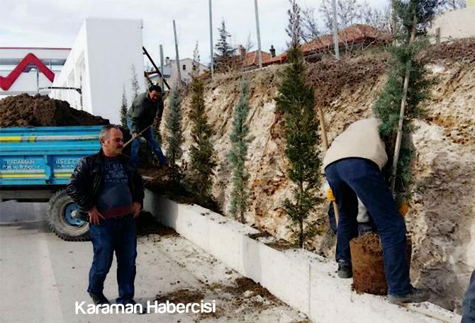 Karaman-Mut Girişi Peyzaj Çalışmaları Başladı 3