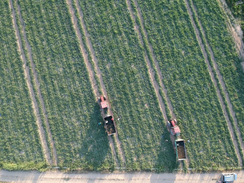 Karaman’dan Dubai’ye Karpuz 13