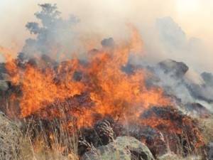 Hasan Dağı'nda orman yangını - Aksaray