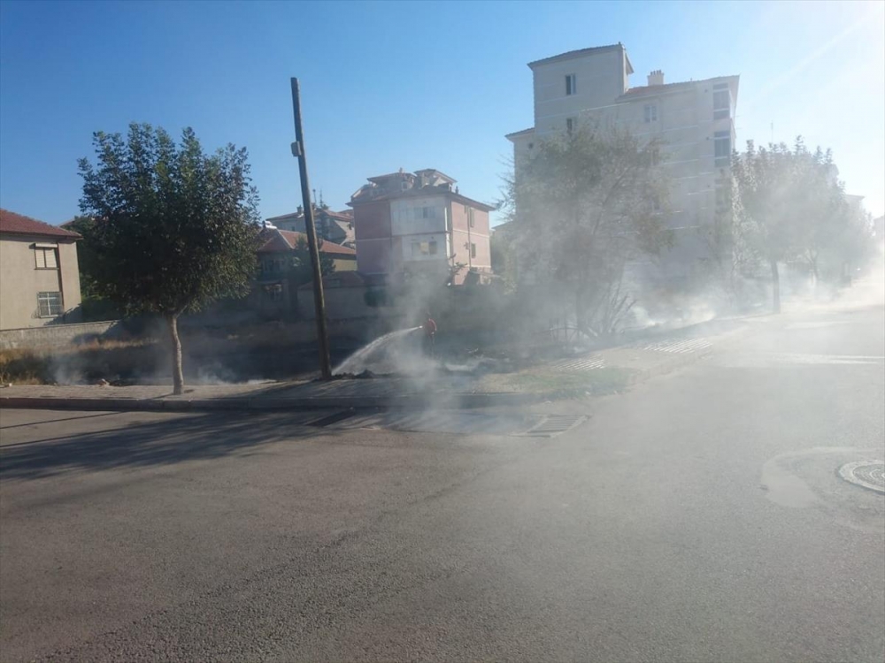 Karaman'da Ot Yangını 2