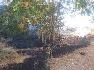 Karaman'da Ot Yangını