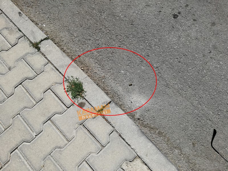 Karaman’da Sokak Ortasında Silahlı Saldırı 15