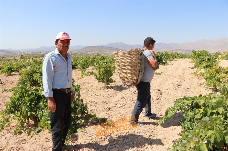 Kuruyemişin Yeni Gözdesi Toroslar'ın Üzümü 5