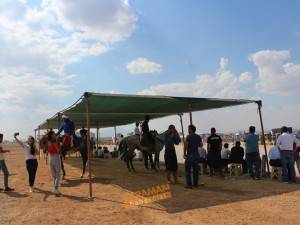 Atlı Okçuluk Yarışması Karaman