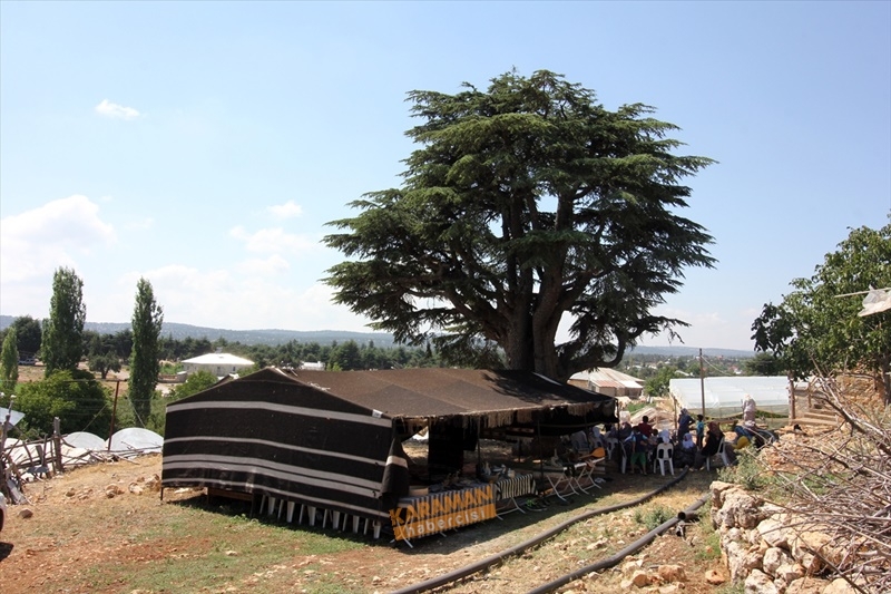 Toros Dağları'nda Yörüklerin Kış Göçü 3