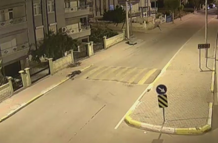 Refüje Çarpan Motosiklet, Sürücüsüyle Birlikte 20 Metre Savruldu 2