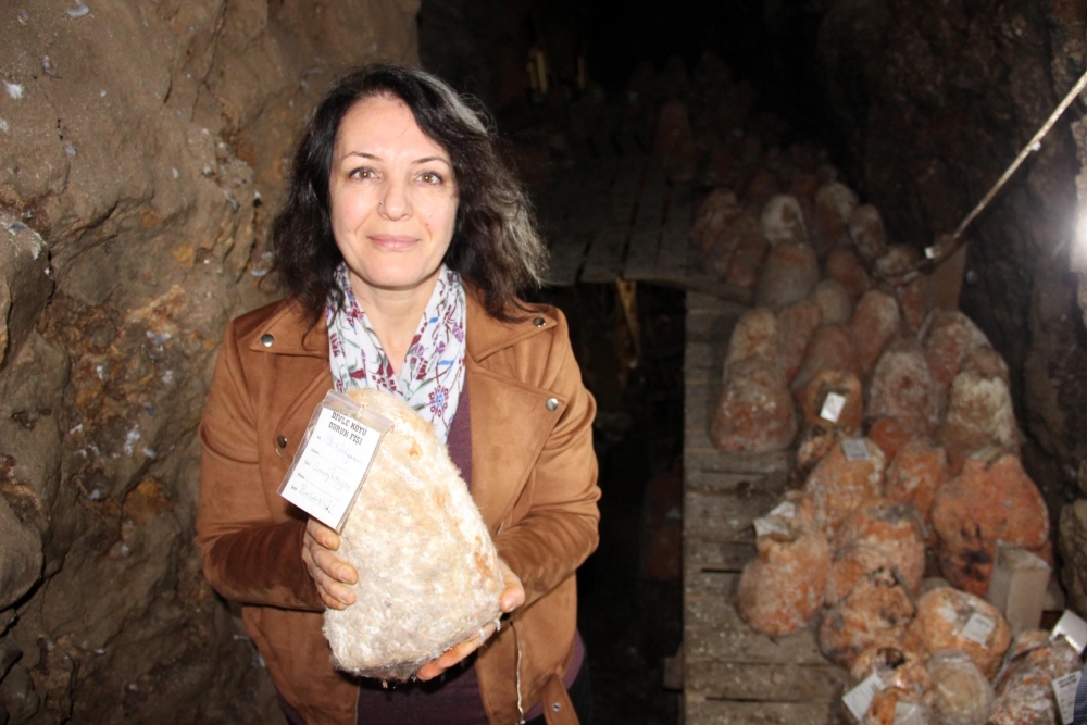 36 Metre Derinlikte Tadına Tat Katan Peynire İlgi Her Geçen Gün Artıyor 1