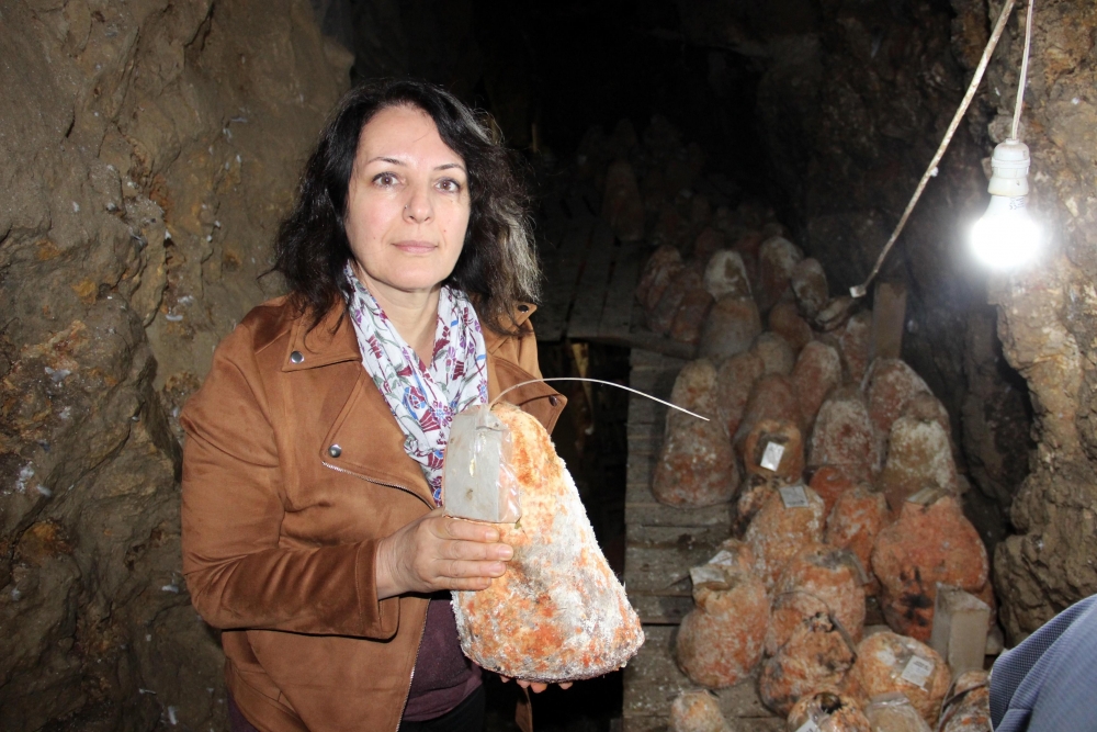 36 Metre Derinlikte Tadına Tat Katan Peynire İlgi Her Geçen Gün Artıyor 2