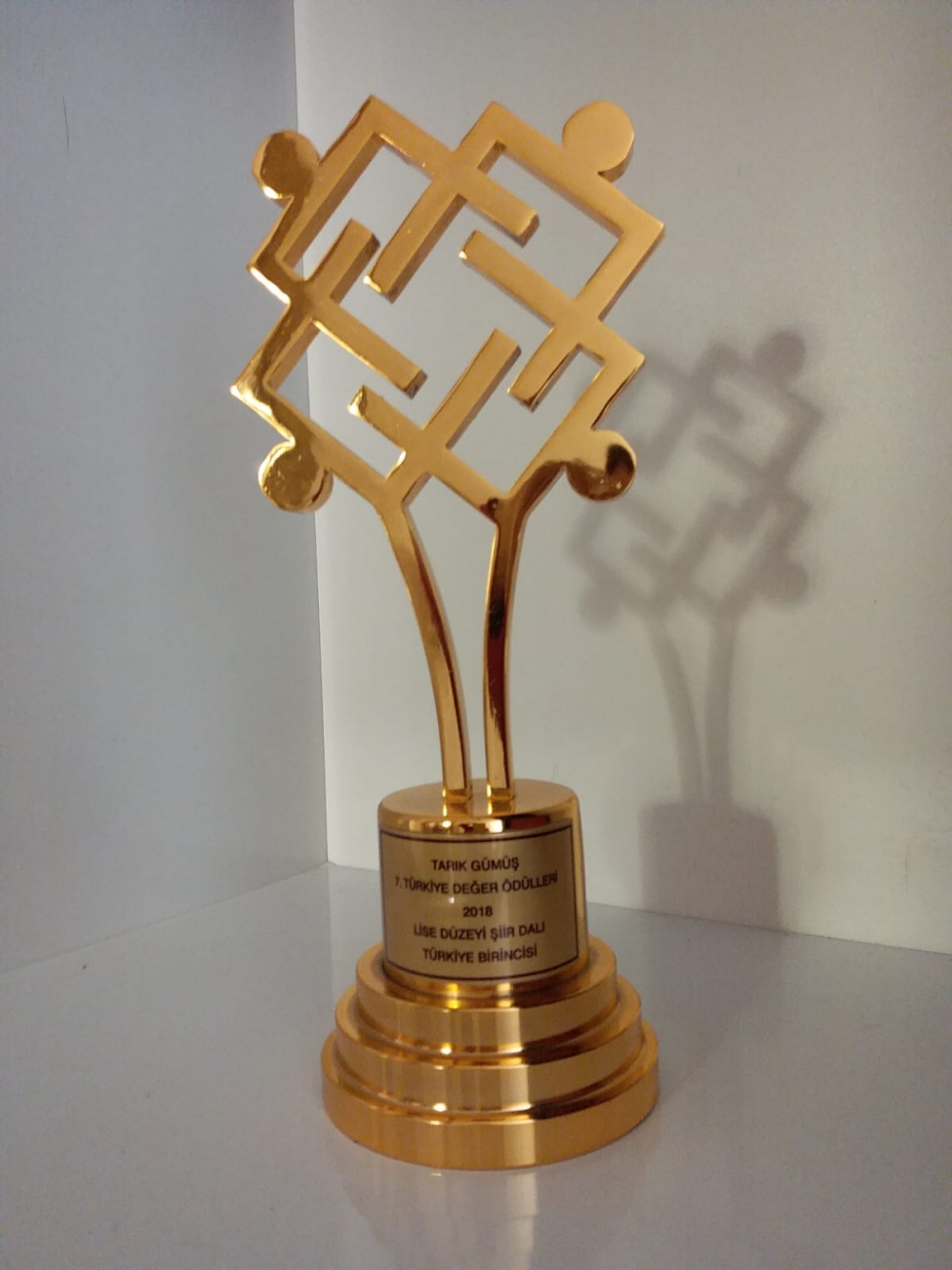 7.Türkiye Değer Ödülleri, Lise Kategorisinde Türkiye Birincisi. 5