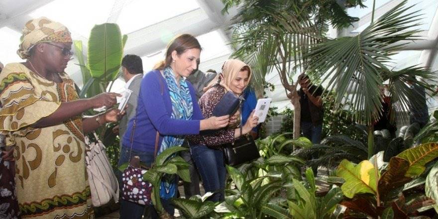 Konya Tropikal Kelebek Bahçesi