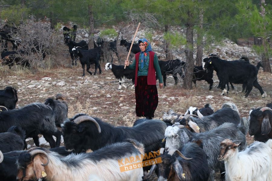 Yörüklerin Toroslarda Geleneksel Yaşantısı 14