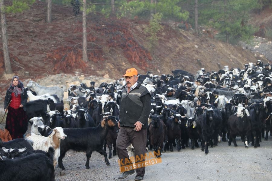 Yörüklerin Toroslarda Geleneksel Yaşantısı 15