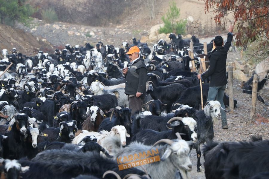 Yörüklerin Toroslarda Geleneksel Yaşantısı 6
