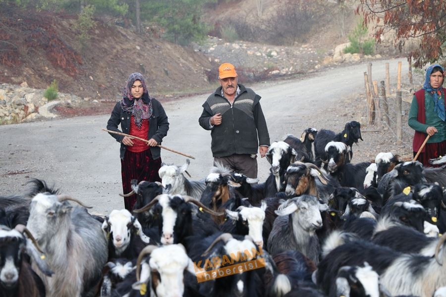 Yörüklerin Toroslarda Geleneksel Yaşantısı 7