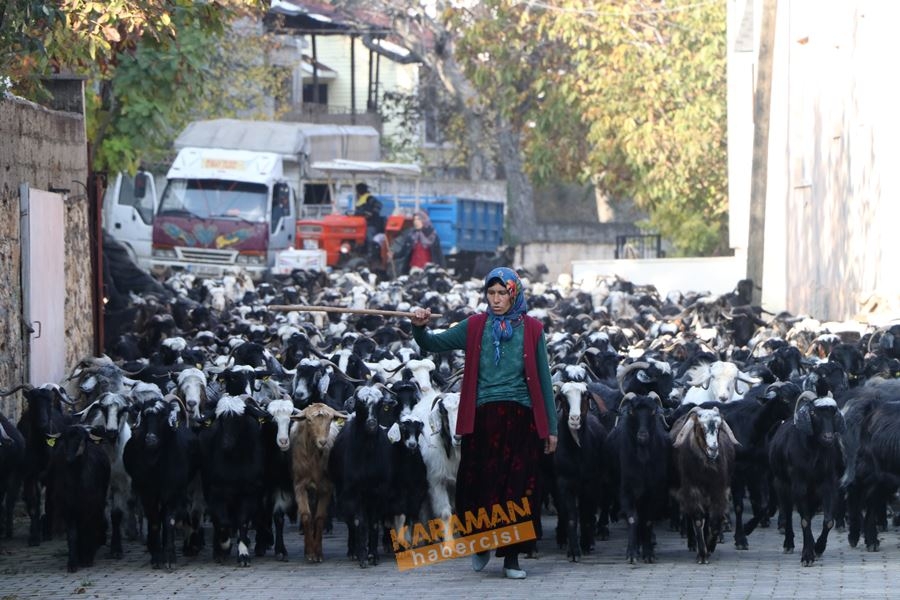 Yörüklerin Toroslarda Geleneksel Yaşantısı 8