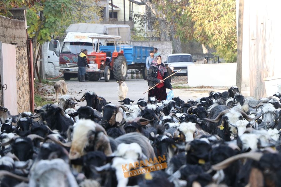 Yörüklerin Toroslarda Geleneksel Yaşantısı 9