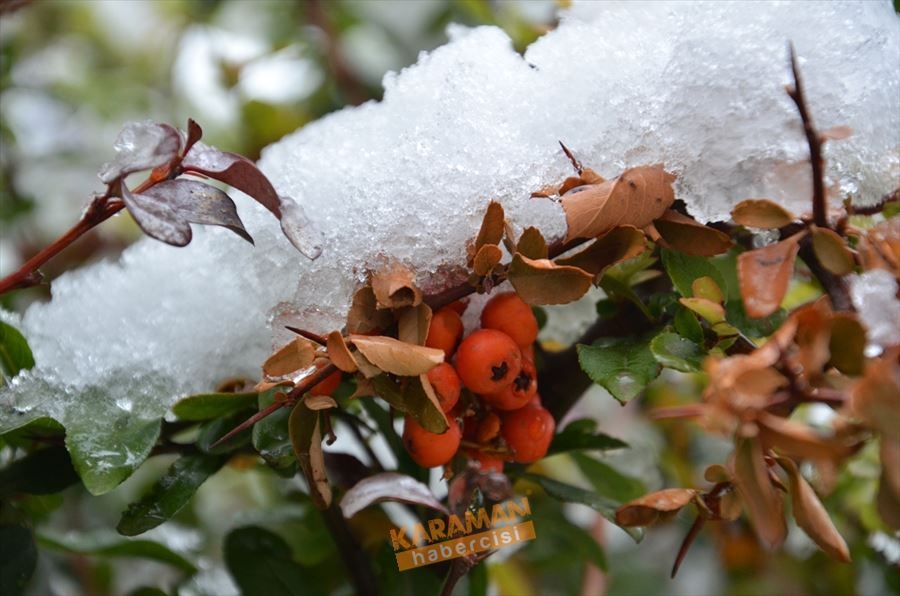 Karaman'da Kar Yağışı 3
