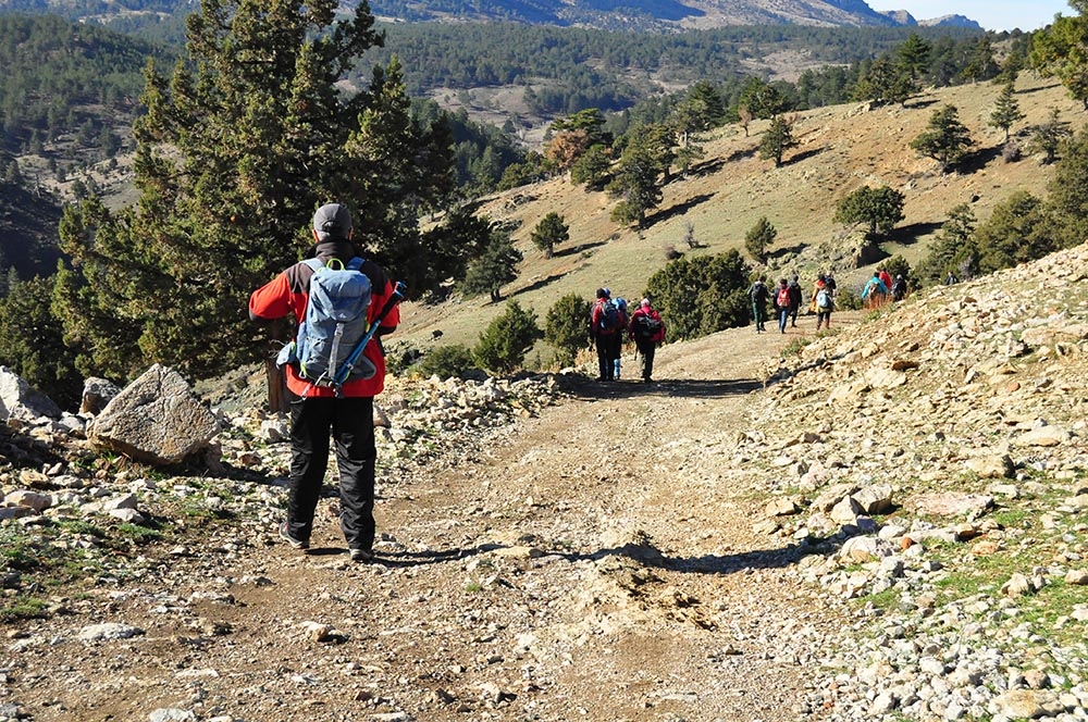 Kardof Akçaalan Sonrası Adana Yolcusu 3